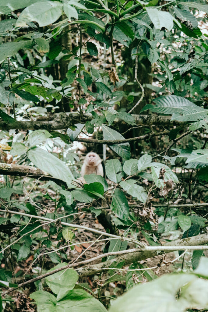 10 best things to do in costa rica