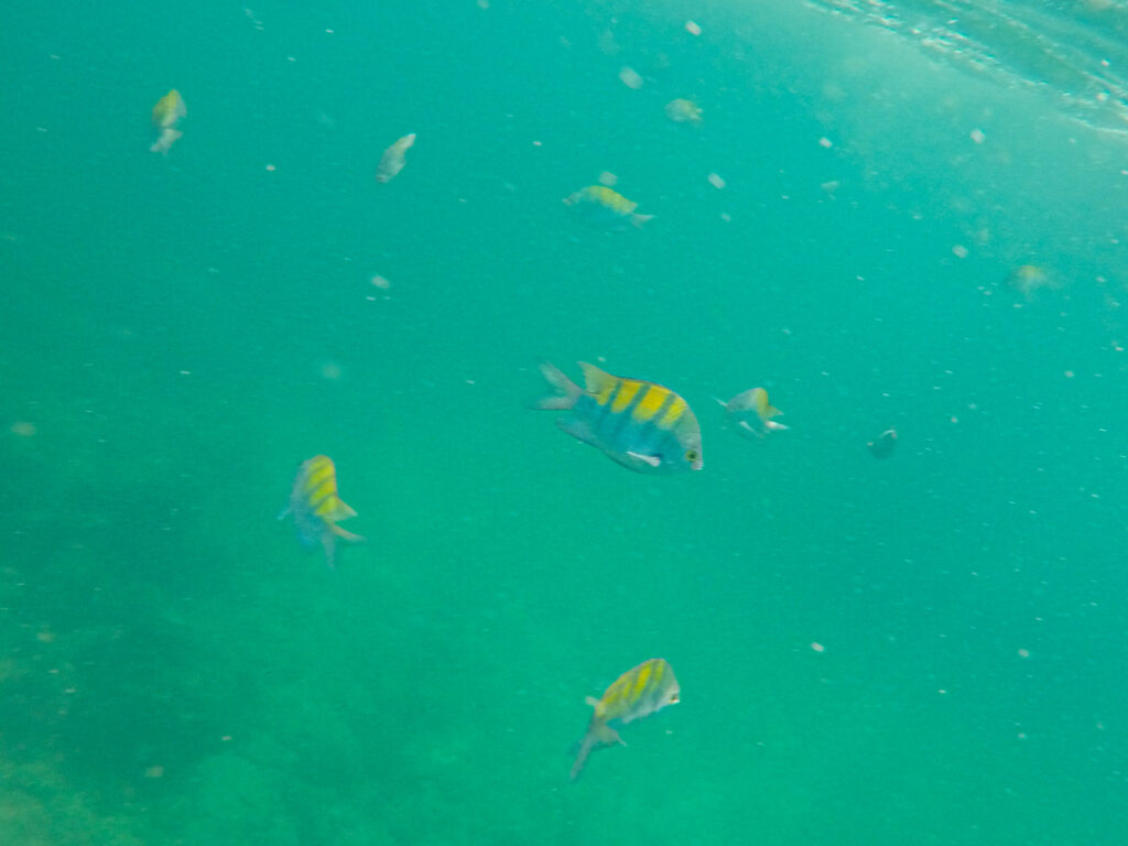 10 best things to do in costa rica